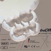 Josef Voborník, DiS.